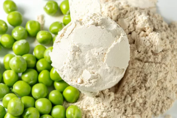 Best Vegan Protein Powders for Muscle Growth and Digestion